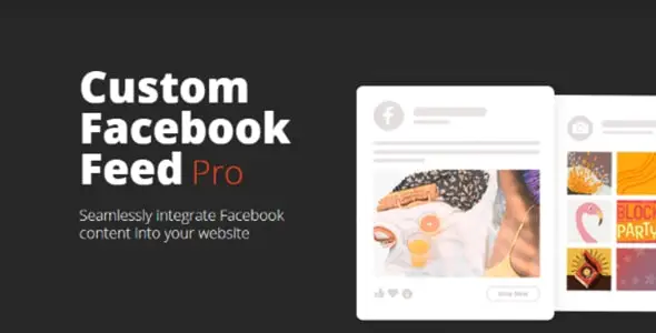 custom facebook feed pro