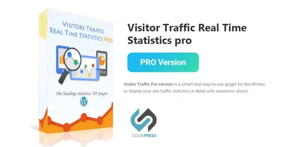 Visitor Traffic Real Time Statistics pro